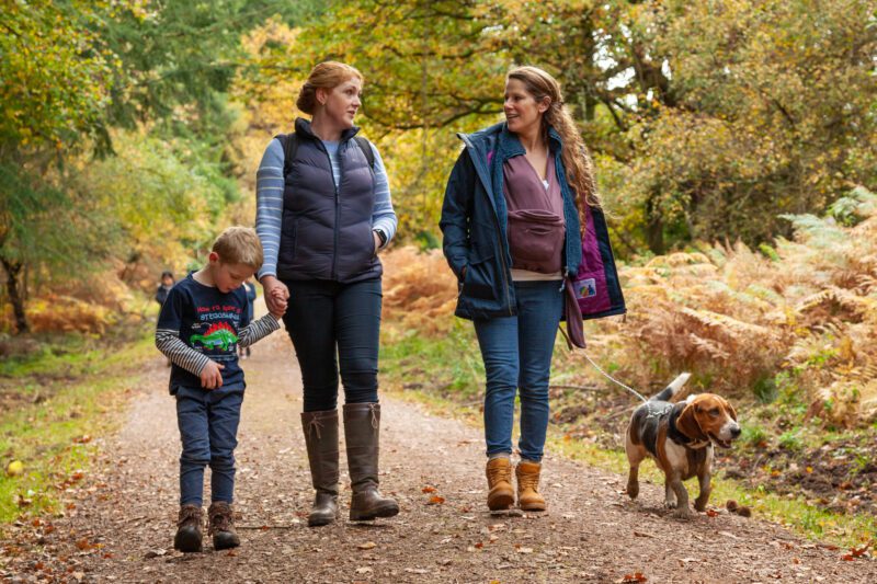 Two adults and a child walking with a dog on a forest road