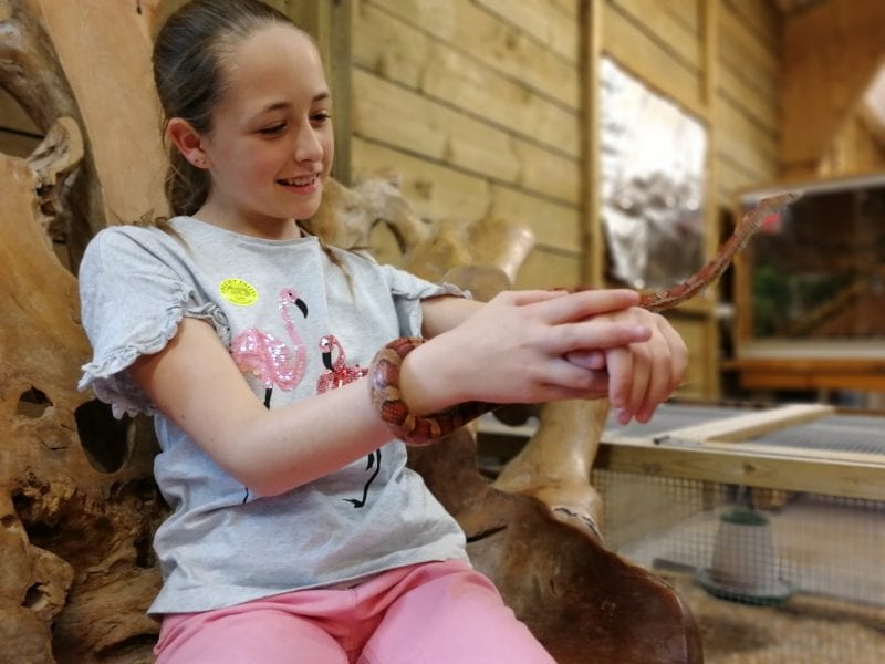 Family Days Out In Devon