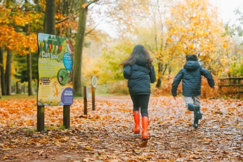 Two children run through a leafy forest next to a sign that says "can you help Mouse?"