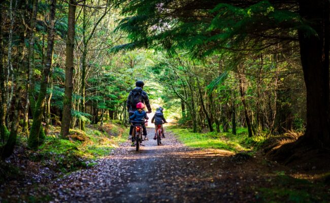 A family cycling in an autumnal forest