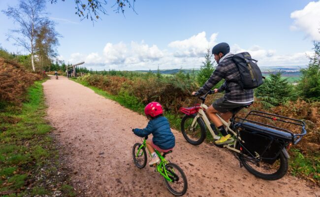 An adult and a child cycle along a flat wide forest track