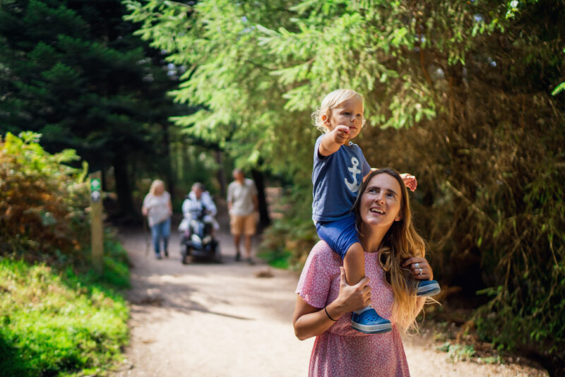 A parent and child exploring the forest with their family following in the background