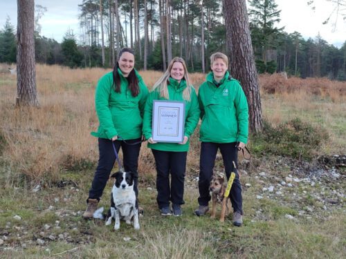 Haldon Forest park dog friendfly attraction of the year 20233