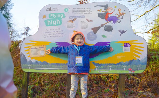 Room on the Broom at Haldon Forest