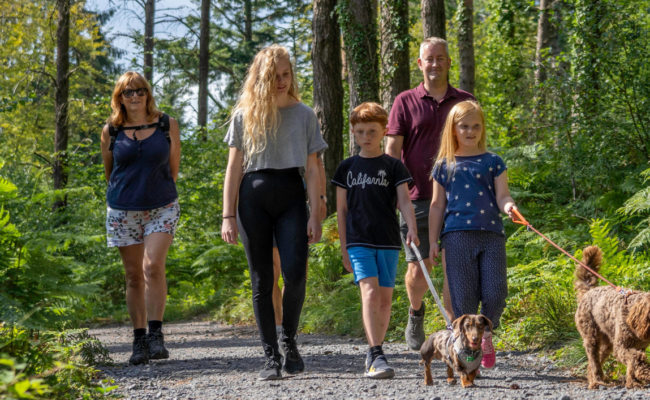 Family dog walking on a forest trail