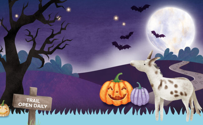 illustrated poster for Pumpkin Trick or Treat Trail