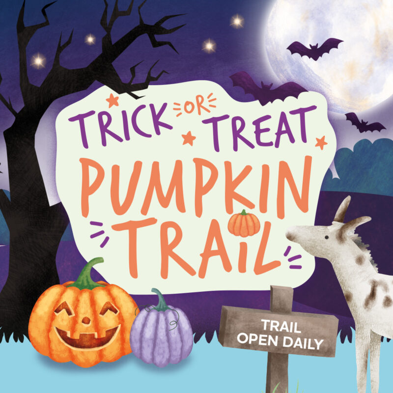illustrated pumpkins poster for halloween trail