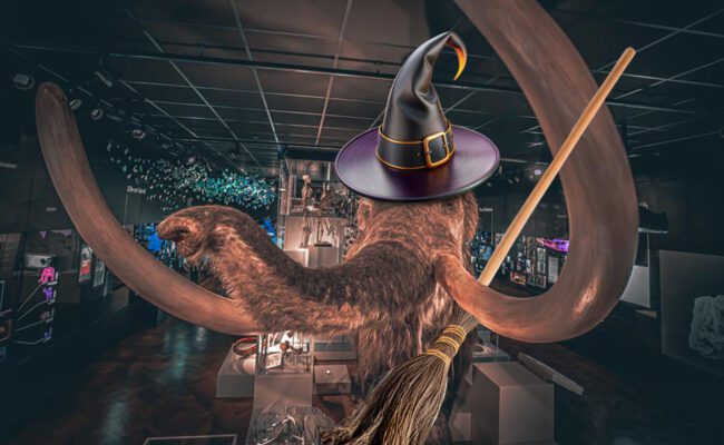Photograph showing Mildred the Mammoth in a Halloween outfit