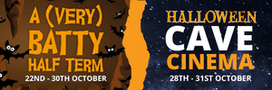  A Batty half term and cavecinema at Kents Cavern