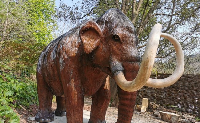 Kents Cavern's new life size Mammoth