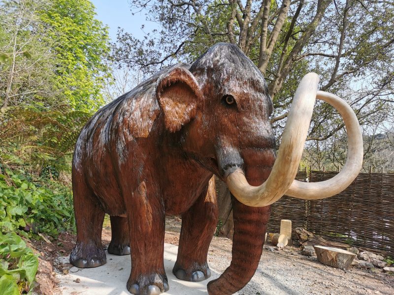 Kents Cavern's new life size Mammoth