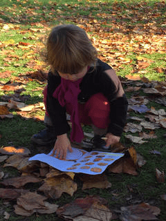 Killerton oct half term