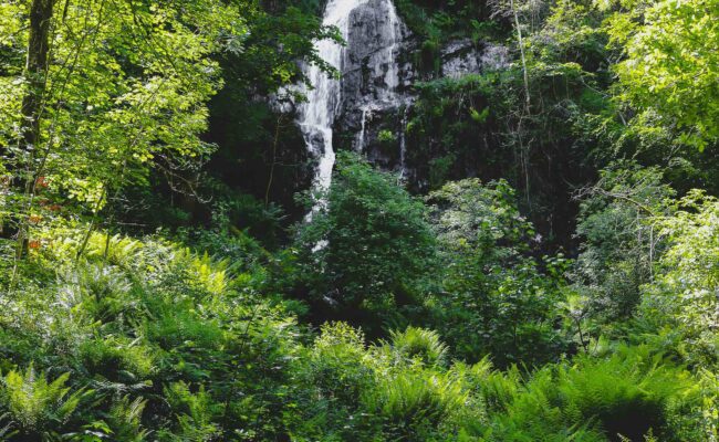 Canonteign Falls