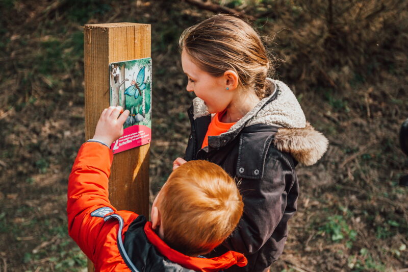 Children find a Gruffalo orienteering post in the forest