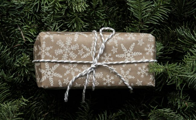 Photograph of a present wrapped in paper in a Christmas tree