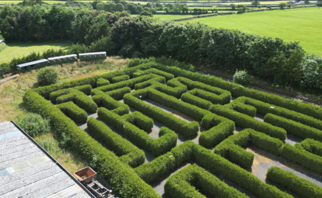 Aerial view of the outdoor maze at The Milky Way Adventure Park in North Devon – family-friendly hedge maze surrounded by countryside