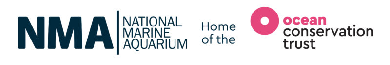 NMA logo