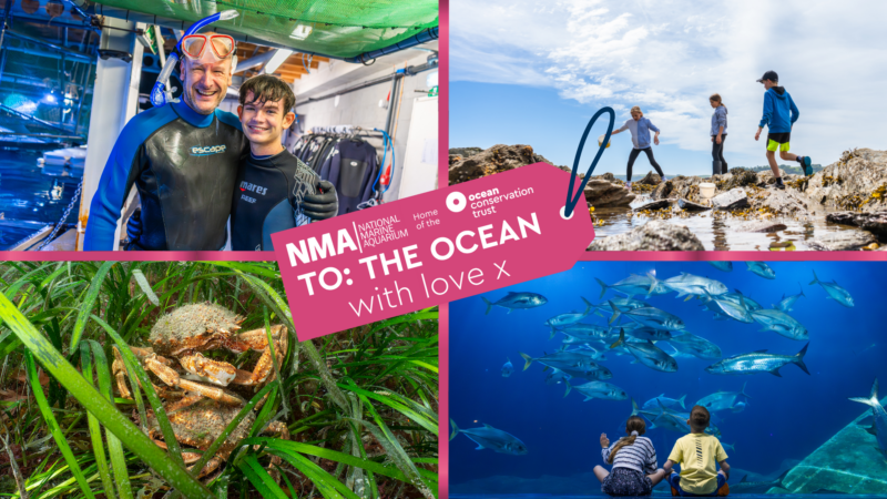 NMA to the ocean with love