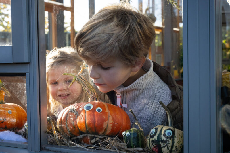 Rosemoor rhs october half term