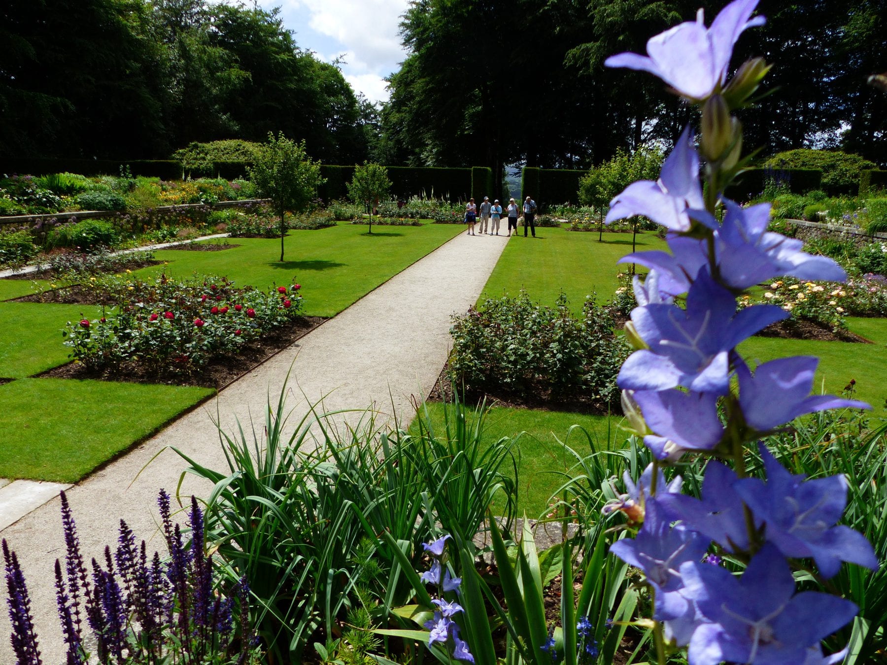 Events in Devon | Devon's Top Attractions