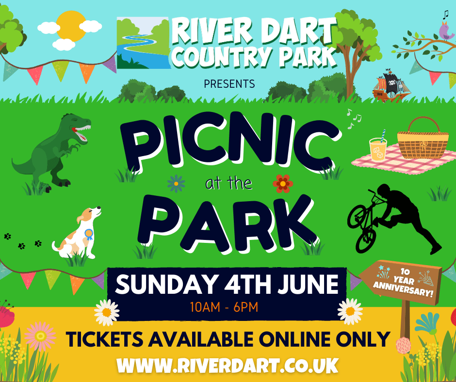 Picnic at the Park, River Dart Country Park, Ashburton, Devon