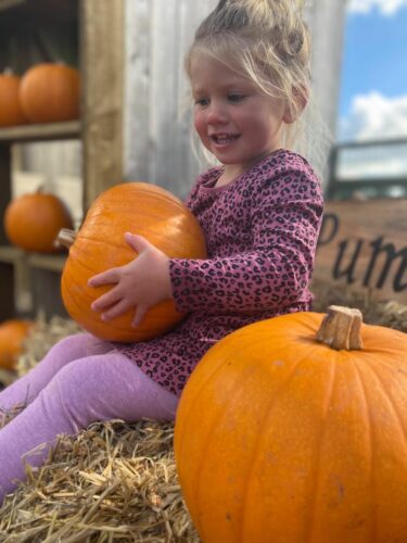 Pennywell Pumpkins