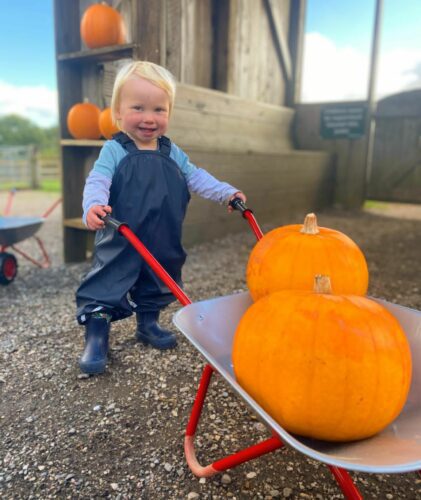  Pumpkins at Pennywell