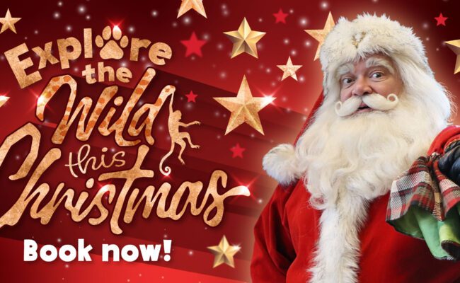 Paignton Zoo Christmas 2025