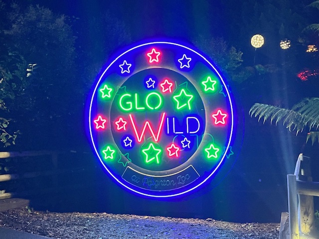Paington Zoo Glow Night