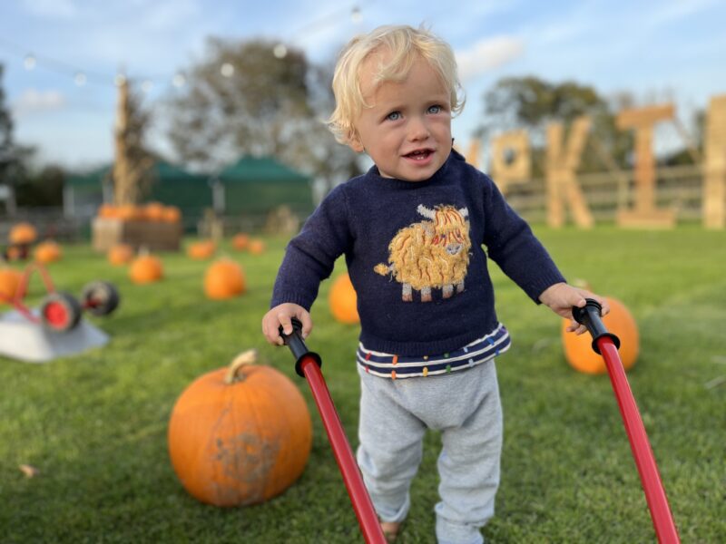 Pennywell Farm Pumpkin patch.