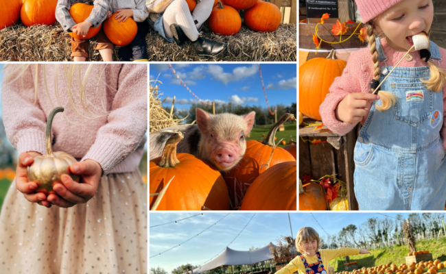 Pumpkin festival at Pennywell