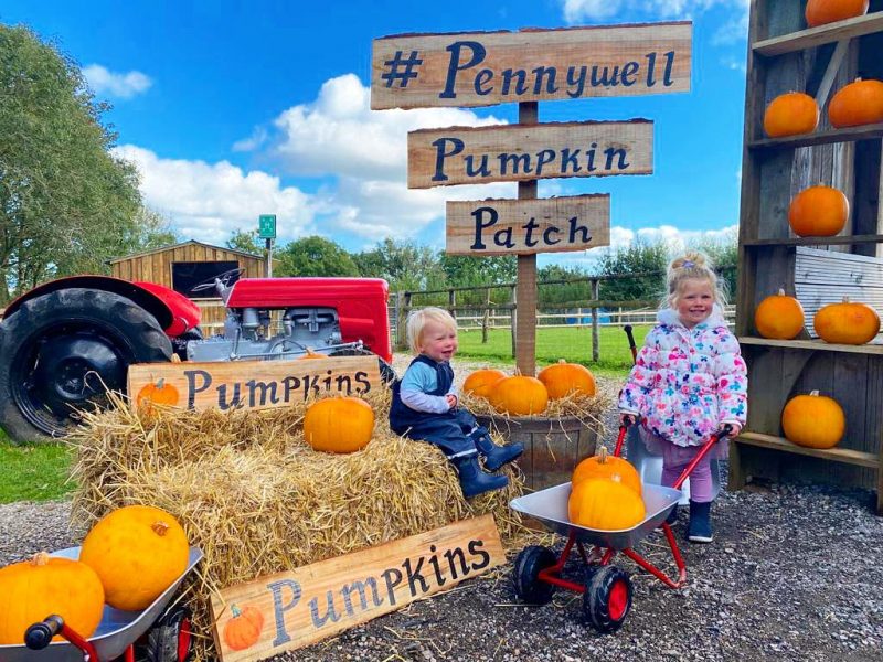 Pennywell Pumpkin Patch