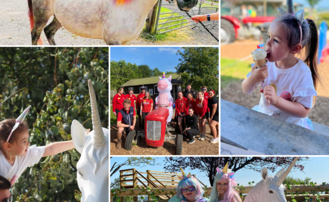 Pennywell Unicorn month