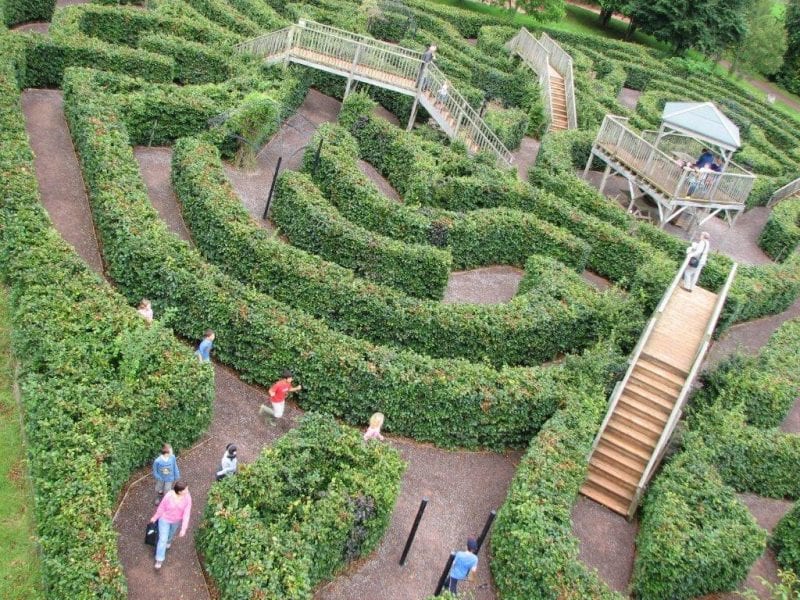 Devon's Top Attractions - things to do in Devon Wildwood Escot Maze