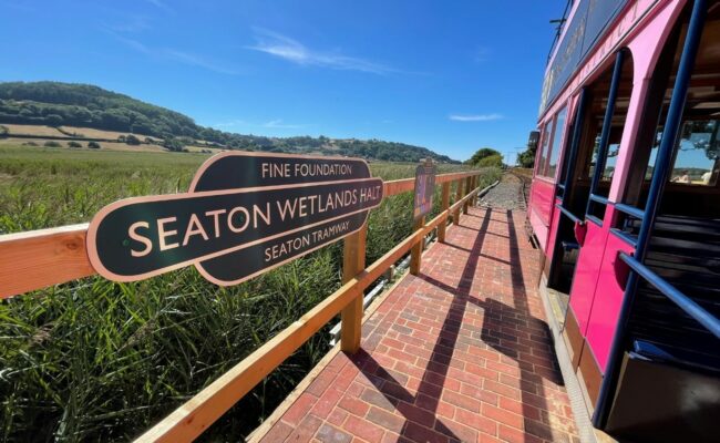 Seaton Wetland Halt station