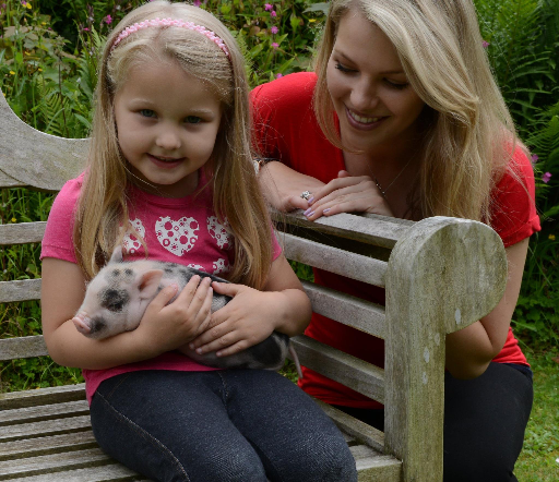 piggy cuddles at Pennywell Farm