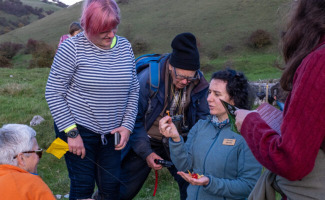 A group of people interacting with each other outdoors