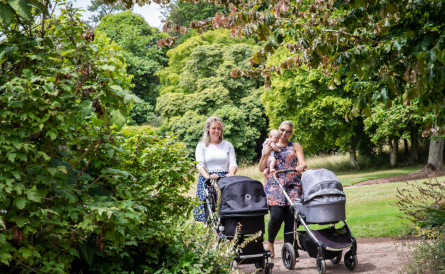 Visitors with babies pushing prams around the garden at Killerton