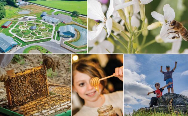 Quince Honey Farm Easter 26