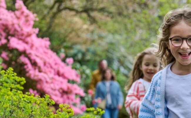 May at Rosemoor