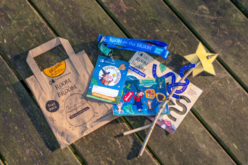 Flat lay of the Room on the Broom trail pack contents