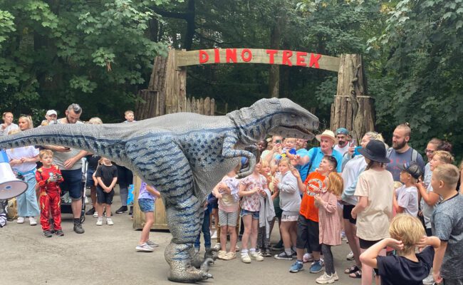 Meet Ritchie Raptor at Woodlands