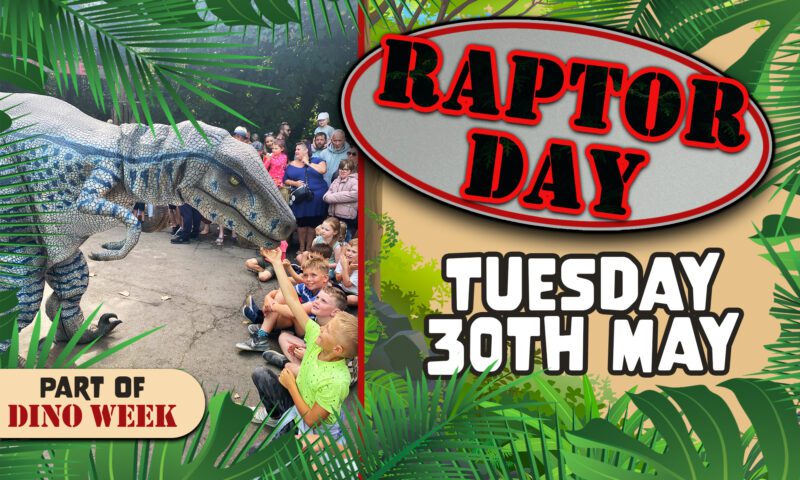 Raptor Day at Woodlands