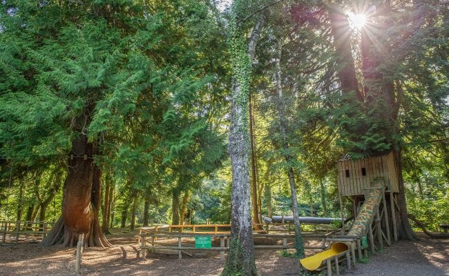 Adventure Playgrounds at River Dart Country Park