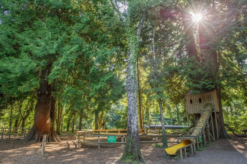 Adventure Playgrounds at River Dart Country Park