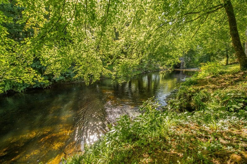 The River Dart 