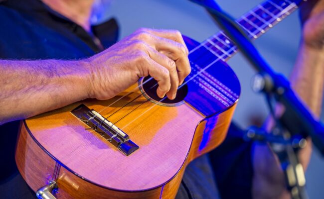 Rosemoor Live Close-up of musician playing a guitar at a concert at RHS Garden Rosemoor.