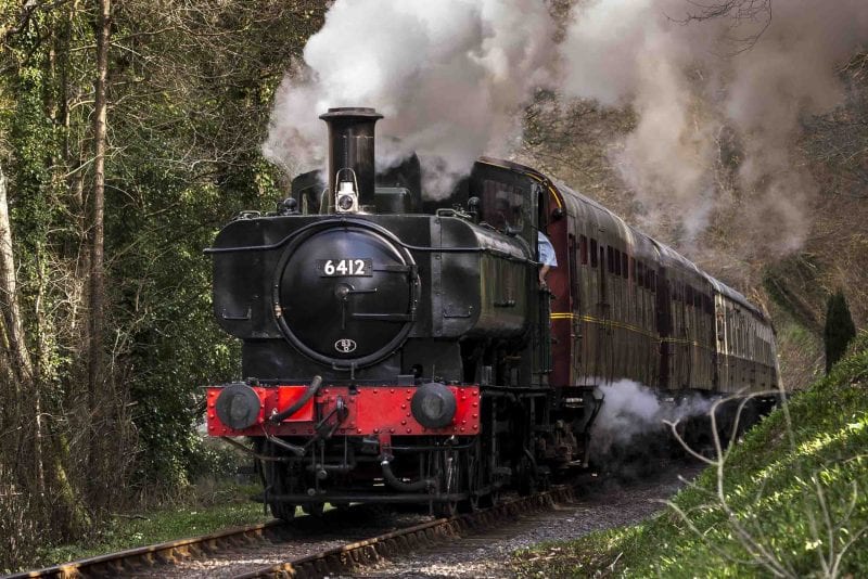 SDR -South Devon Railway