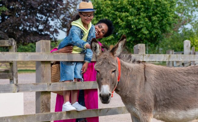 mother and son stood smiling at a fence petting a brown donkey