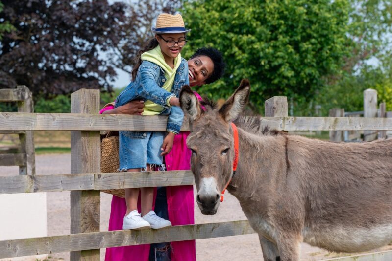 mother and son stood smiling at a fence petting a brown donkey